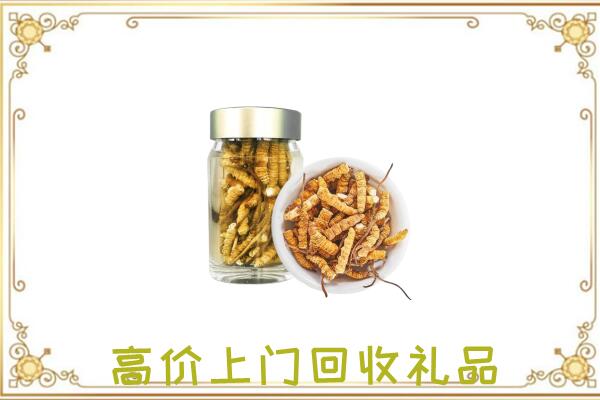 古浪县周边回收虫草